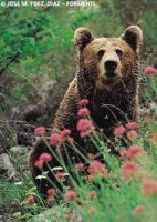 /album/fotogaleria/images-33-jpg/